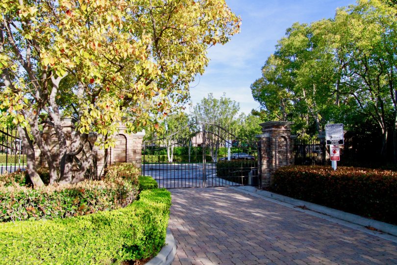 The houses in the Laurels at Providence Ranch is like a park with lots of tree and plants in that.