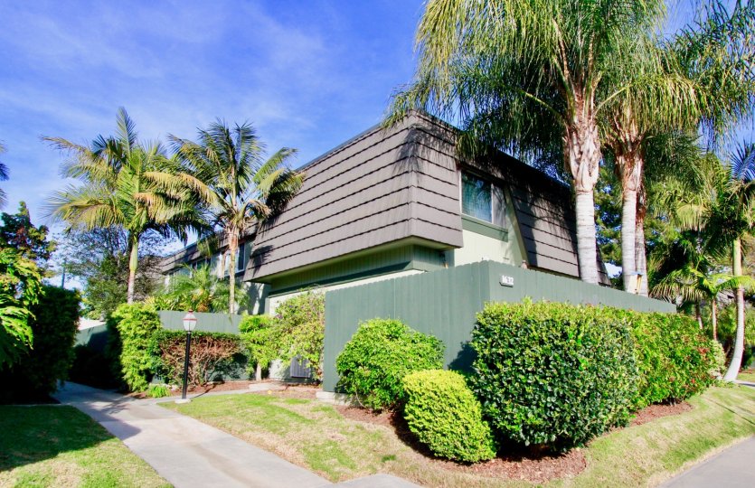Nice view of palm trees and lawn near villas of Mesa Verde Villas of Costa Mesa