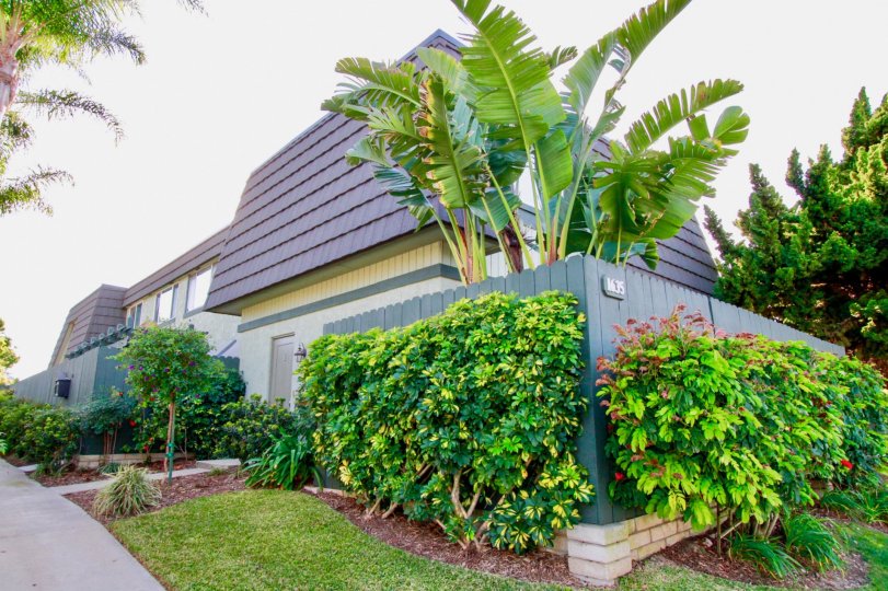 Mesa Verde Villas Costa Mesa California house very super fully coverd for garden in the house