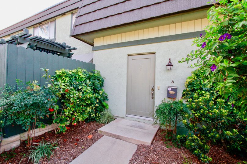 THE HOUSE WITH ROOF CLOSED DOOR AND FLOWER PLANTS ALL AVAILABLE AT THE FRONT OF THE HOUSE AT THE MORNING TIME