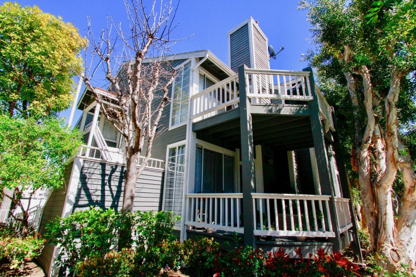 Newport Landing home with trees and balconies on a sunny day.