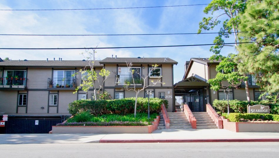 The houses in the sea ridge is like a row houses with trees, plants, steps and beautiful look