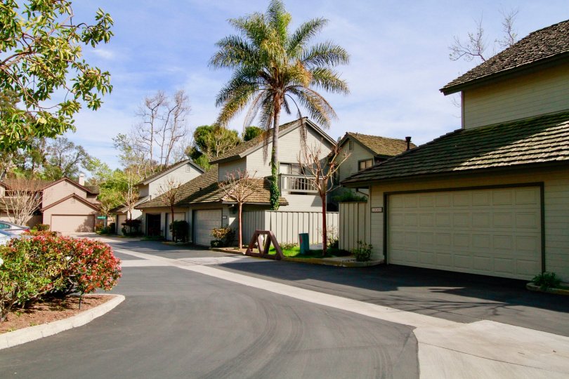 A sunny day outside homes in the community of Seabluff Canyon in Costa Mesa.