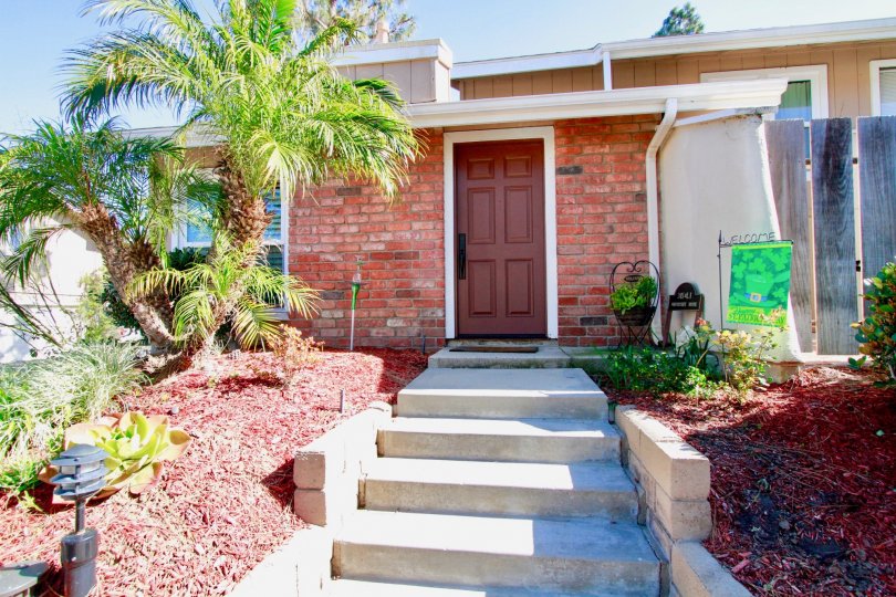 Sidewalk to a Woodstream Condos door with a palm trees on a sunny day.