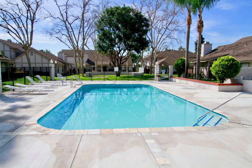 A SWIMMING POOL ALONE AND SURROUNDING WITH MORE HOUSE AND TREES AND PLANTS SOME SITTING CHAIRS ALSO THERE AT THE MORNING TIME