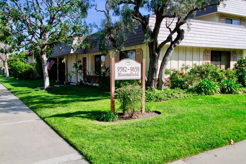 Tanglewood North Cypress California somewhat lonely dark appearance make fear with huge trees