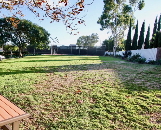 The Place in Dana Light has benches near the Trees with Meadows