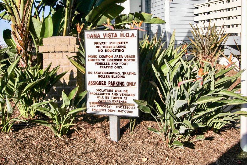 Amazing Dana Vista In Dana Point California Country