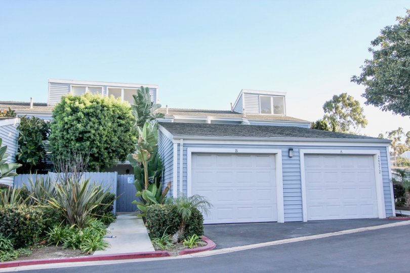 a sunny day in the dana vista with a house that has small wooden door and compound wall