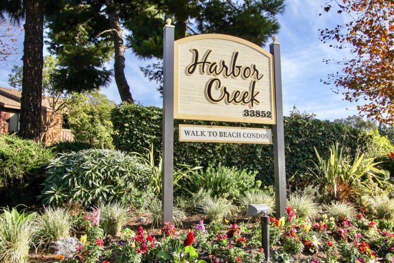 Fantastic Harbor Creek Dana Point California Country