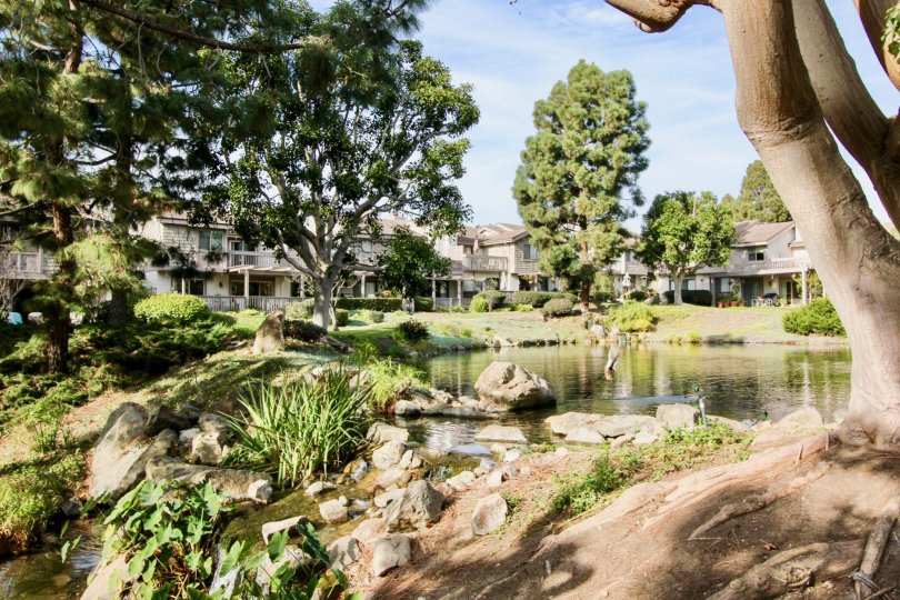 Beautiful Old Mill Pond In Dana Point California Country