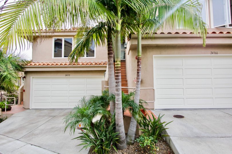 a warm day in the point vista with house tree on 3 and 2 white doors