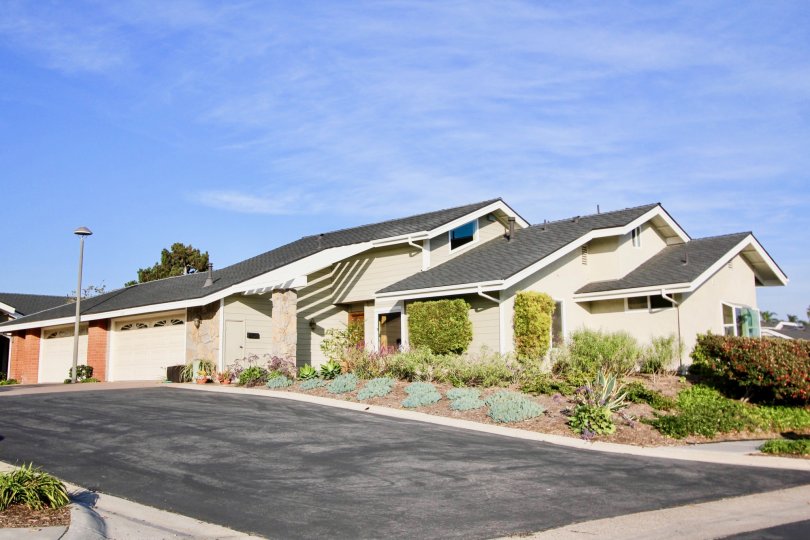 Villa in Sea Ridge has bushes and plants with light lamps