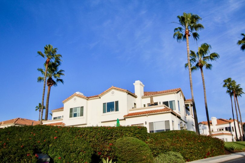 THE VILLAS IN THE TENNIS VILLAS WITH THE FLOWER PLANTS, TREES