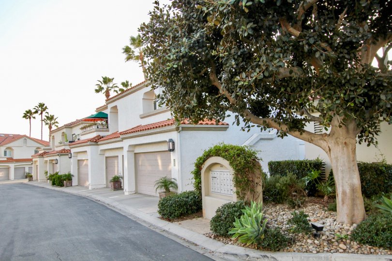 A beautiful day in the Tennis Villas with good climate and trees.
