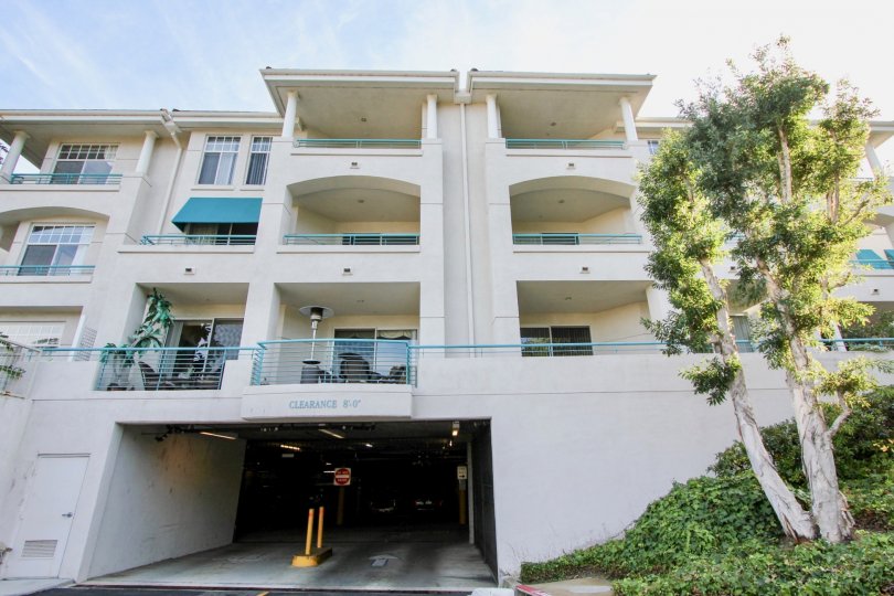 A sunny day in the Fountains at Sea Bluffs with an apartment and beautiful tree.