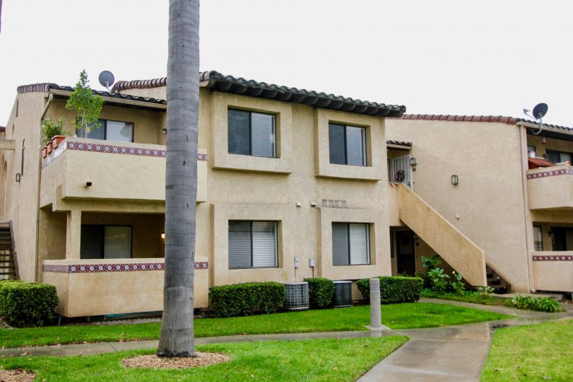 The beautiful houses in the Fountain Crest with beautiful ornamental plants and green grass near the foot path.