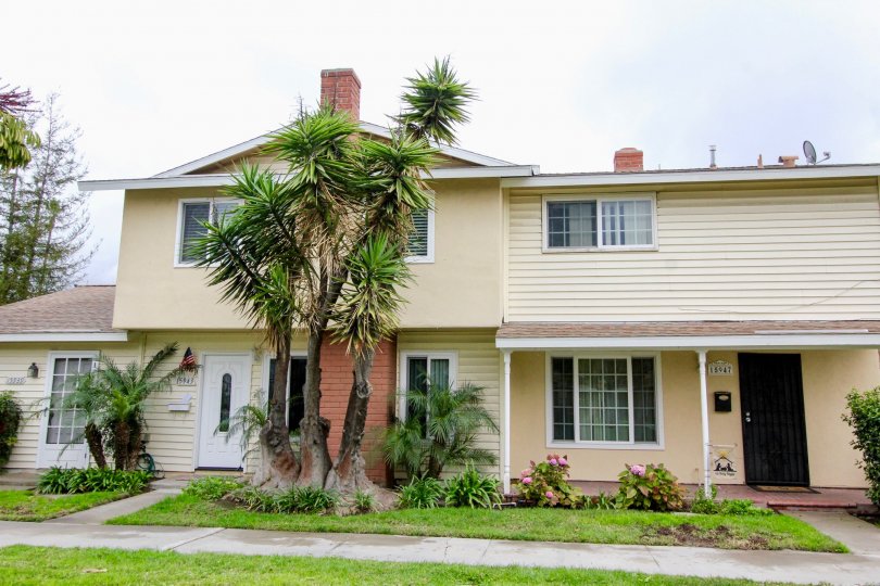 Palm tree in front of a residential home that is yellow in color in Harbor Valley community.