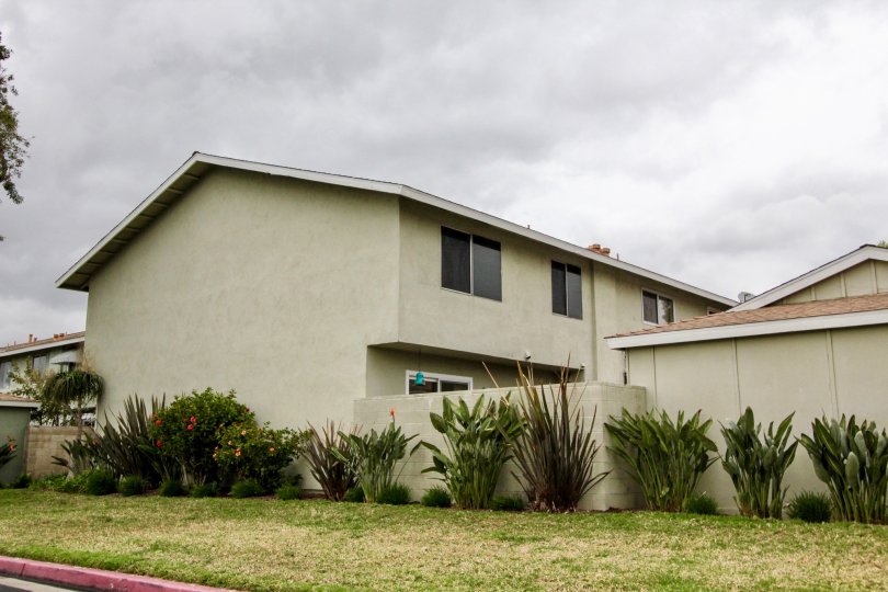 attached to the wall of villa in Harbor Valley has bushes and flower with plants is grown