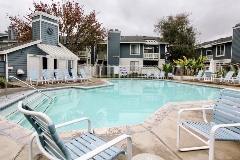 There are so many seating chairs are placed around the swimming pool in New chase