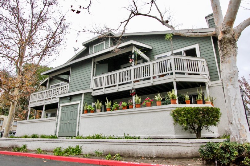 New Chase Fountain Valley California horizontal grid design with mild greenish painted building
