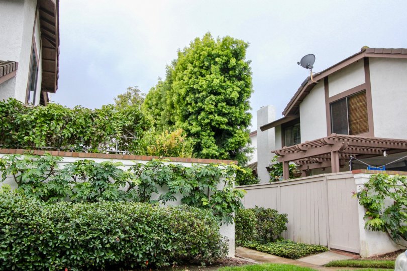 Shadow lane community offers lots of lanscaping as well as tan walls for privacy.