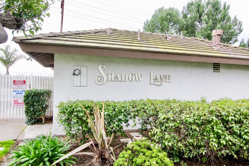 Shadow lane is marked in the wall with bushes, plants and tall trees