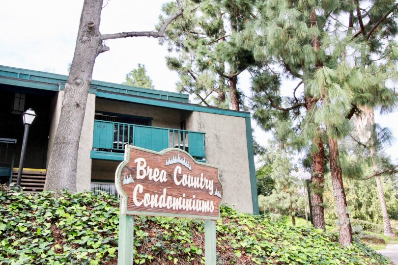 A great day in the Brea Country in front of a sign board and lamp.