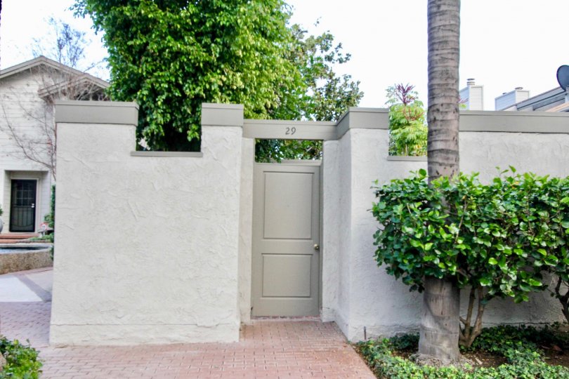 The sunny day in the Chapman Villas with backyard and garden.
