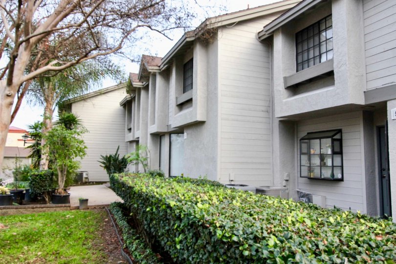 white townhomes with bushes in the front in chapman villas community in fullerton, california.