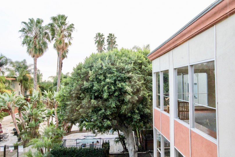 A building with windows and trees by a pool in the club acacia community in fullerton, california.