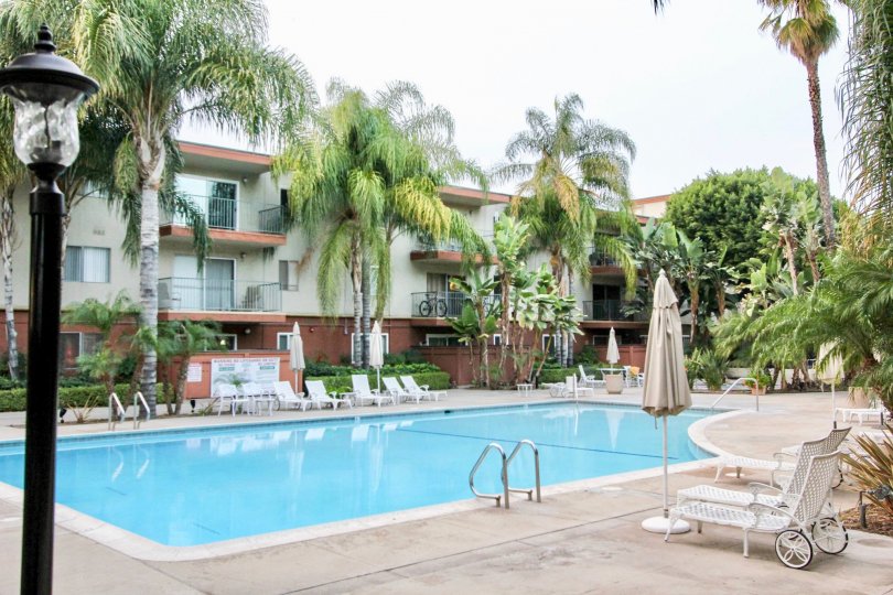 A pool in Club Acacia with deck chairs and palm trees on a cloudy day.