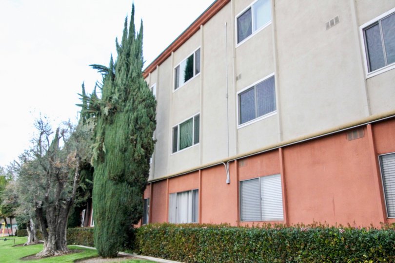 A apartment building in Club Acacia with bushes and trees on a cloudy day.