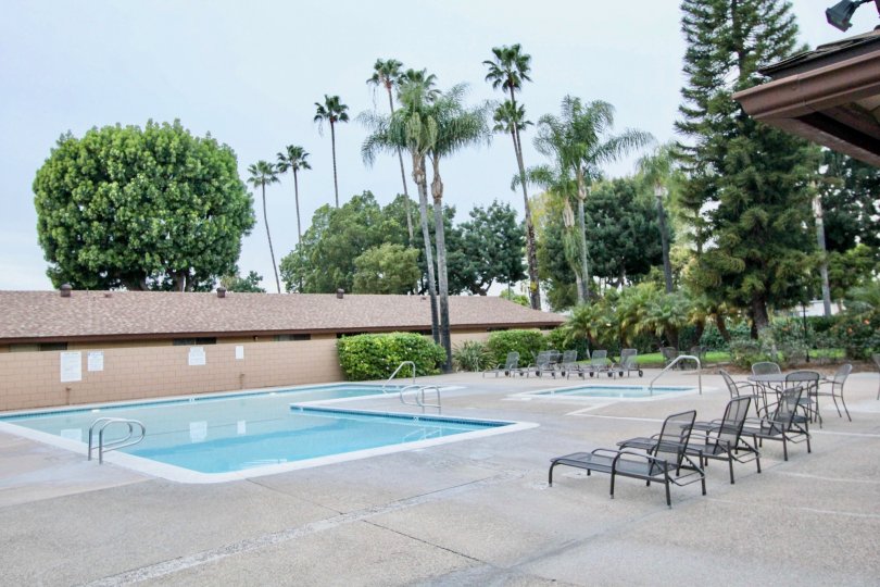 A day in the Coco Palms with a swimming pool and chairs.