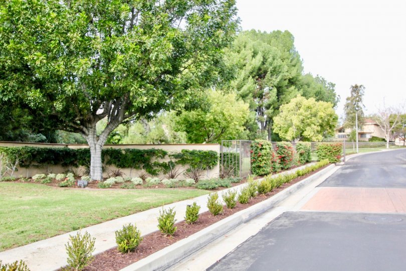 A sunny day roadside in the Fairway Village of Fullerton, California