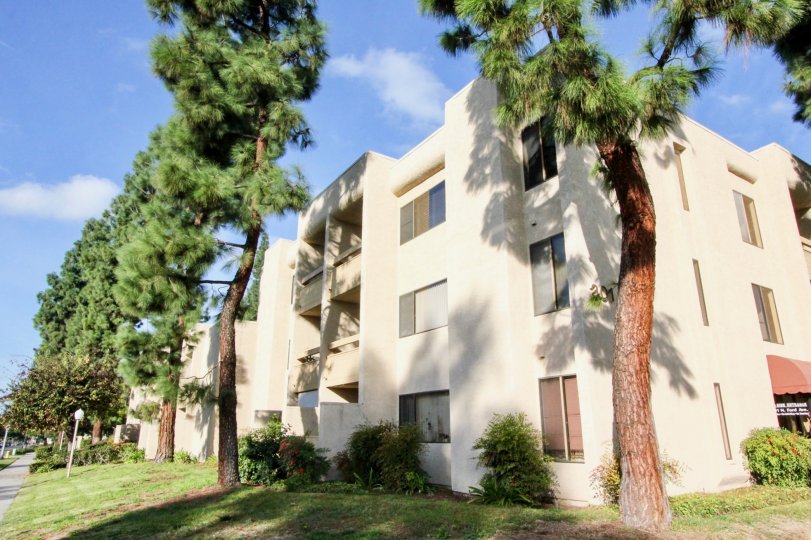 A apartment building in Fullerton Fountains with trees on a sunny day.