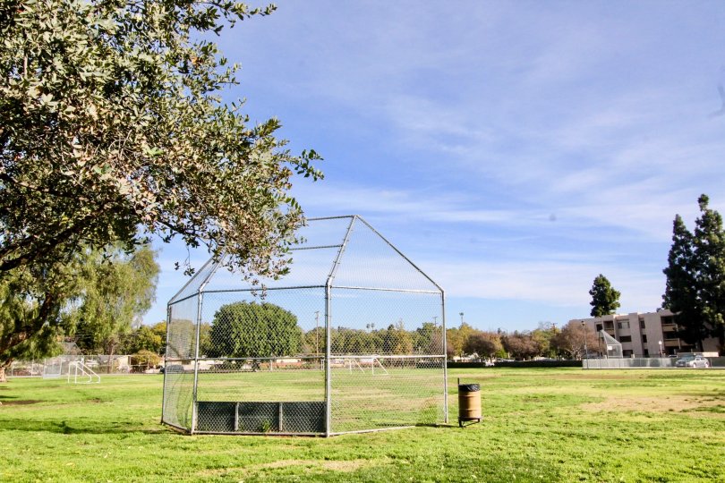A great day in the Fullerton Fountains with a lawn and tree.