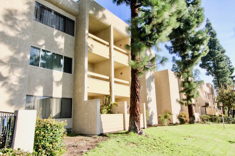Tallest trees are grown in similar spaces which is nearer to apartments in Fullerton Fountains
