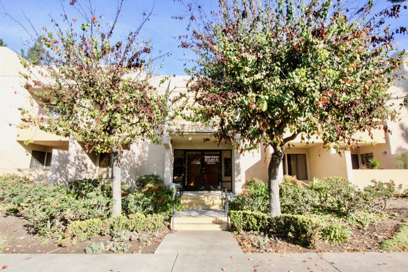 A entrance to the Fullerton Fountains community with trees on either side.