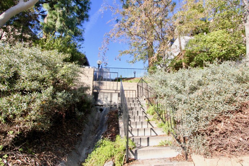 Staircase in the Gilbert Vista community surrounded by plants on a sunny day.