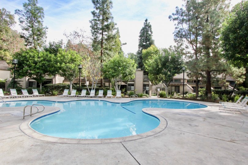 The sunny day in the Hidden Lakes with swimming pool and garden.