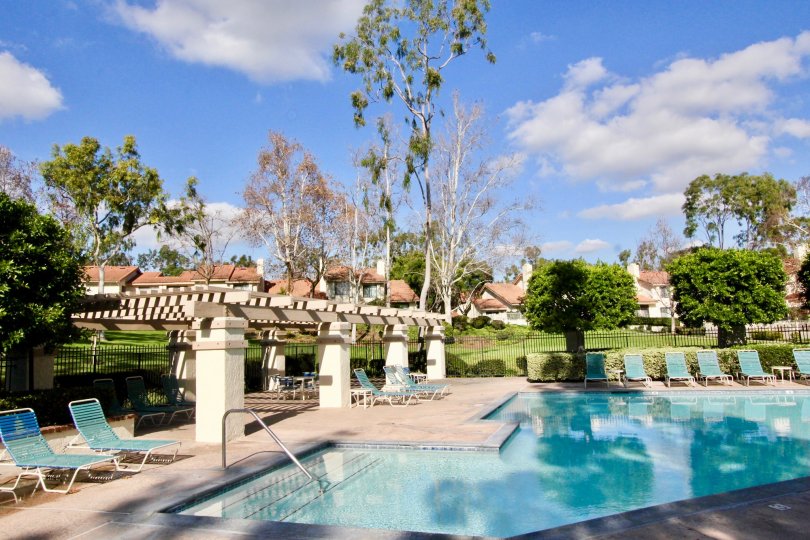Outside of swimming pool has seating chairs and plants and trees with lawn in Malvern Creek