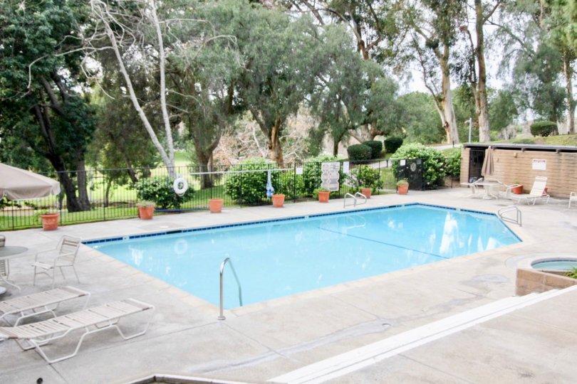 A pool in the Park Vista community with potted plants and deck chairs.