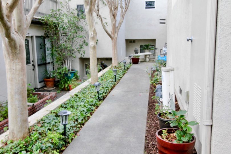 Park Vista Fullerton California compound sides having rare kind of flowery plants nice to look