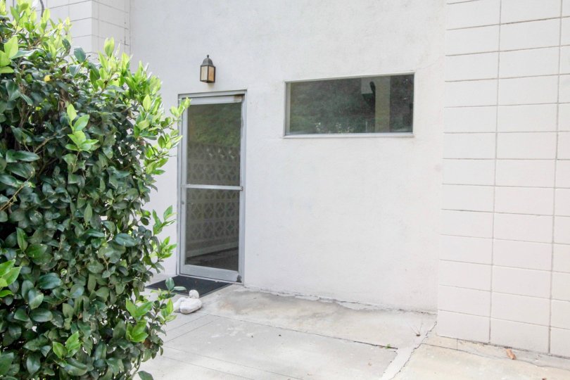 Glass door to a white Shadow Lane buidling next to bushes.