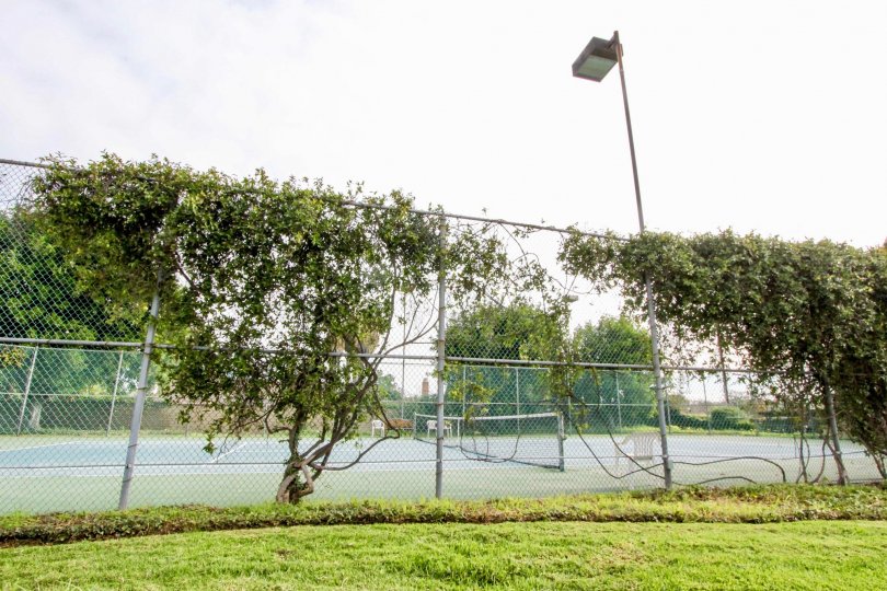 Tennis courts of the Stone Pine Estates community with a fence and trees.