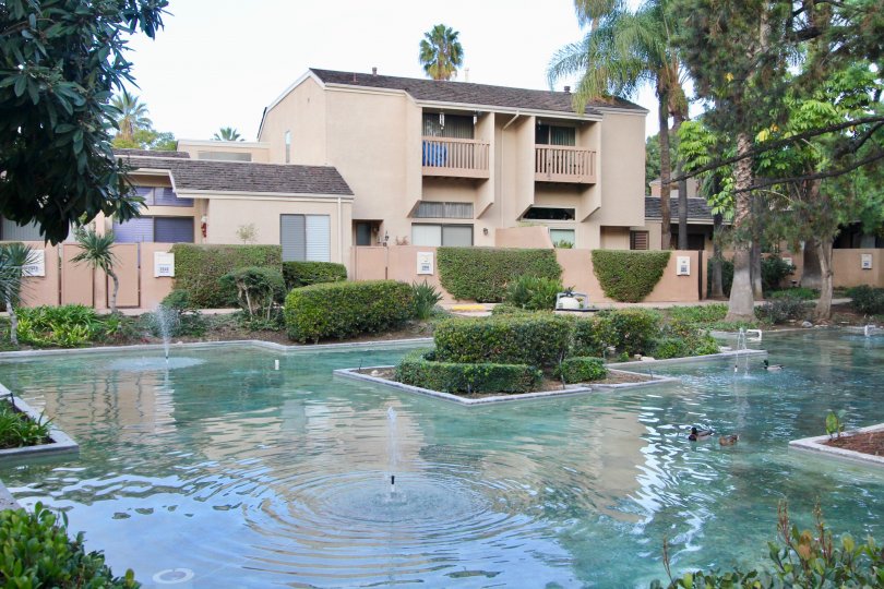 Large pond with ducks at Water Gardens Fullerton, CA