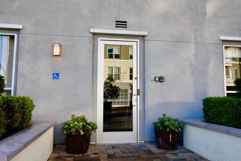 THE FLAT IN THE CHAPMAN COMMONS WITH THE CALLING BELL, FLOWER POTS, PLANTS, LAMP