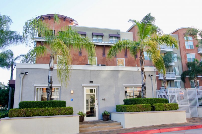 Front door to the lobby of beautiful apartment complex. Two palm trees on each side of the door decorate the scene.