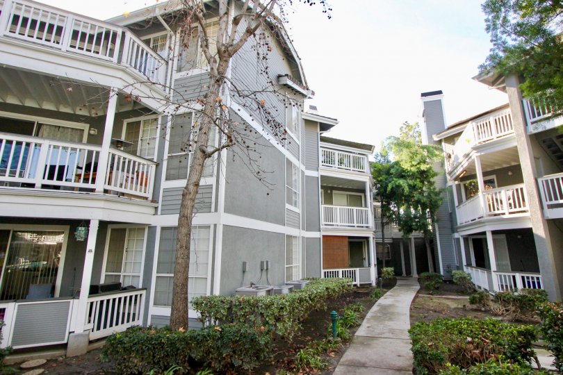 THE APARTMENTS IN THE GREEBNRIER TERRACES WITH THE BALCONIS, PATHWAY, PLANTS, TREES